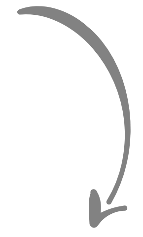 seta
